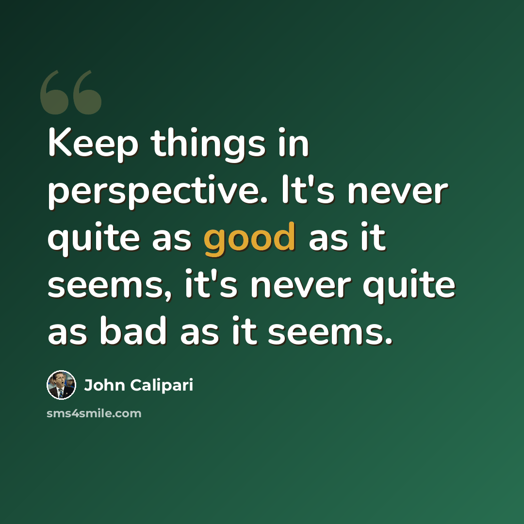 “Keep things in perspective. It's never quite as good as it seems, it's never quite as bad as it seems.” quote by John Calipari