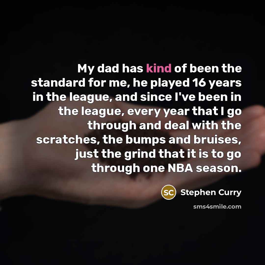 “My dad has kind of been the standard for me, he played 16 years in the league, and since I've been in the league, every year that I go through and deal with the scratches, the bumps and bruises, just the grind that it is to go through one NBA season.” quote by Stephen Curry