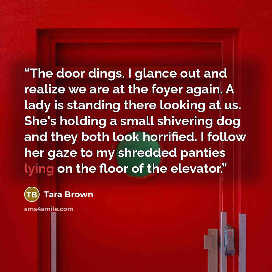 “The door dings. I glance out and realize we are at the foyer again. A lady is standing there looking at us. She's holding a small shivering dog and they both look horrified. I follow her gaze to my shredded panties lying on the floor of the elevator.” quote by Tara Brown