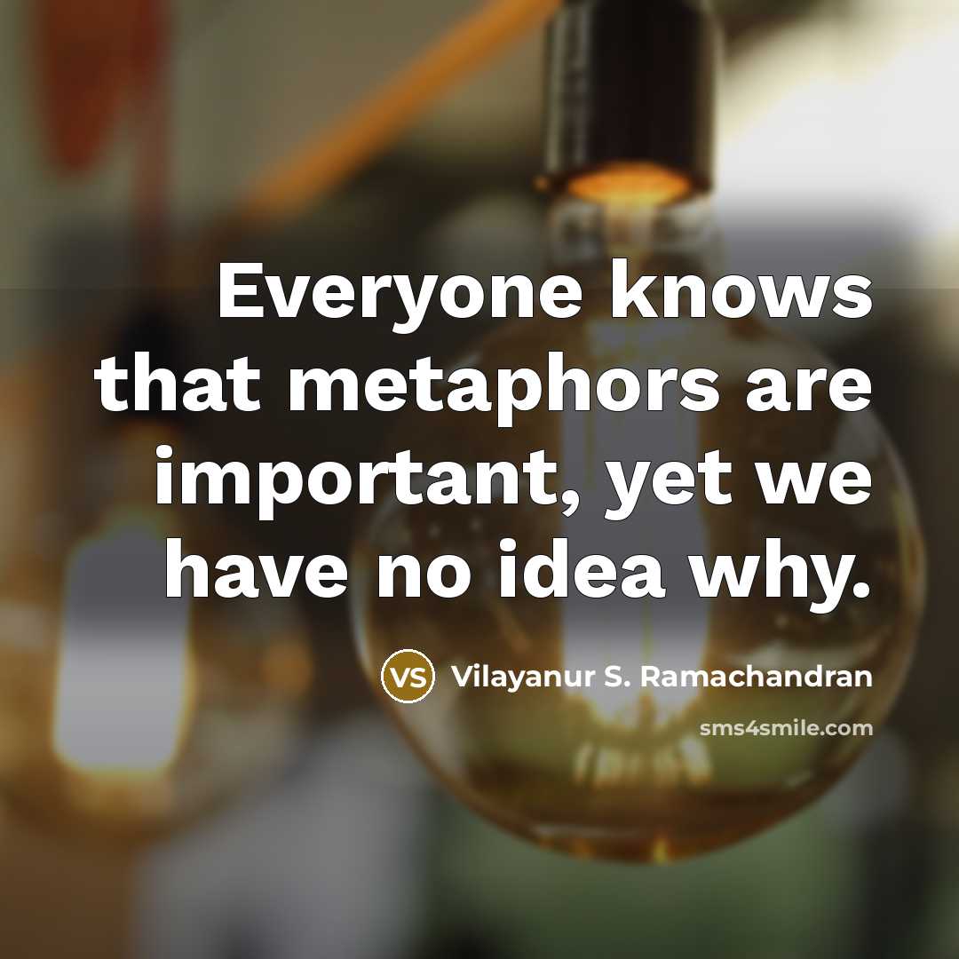 “Everyone knows that metaphors are important, yet we have no idea why.” quote by Vilayanur S. Ramachandran