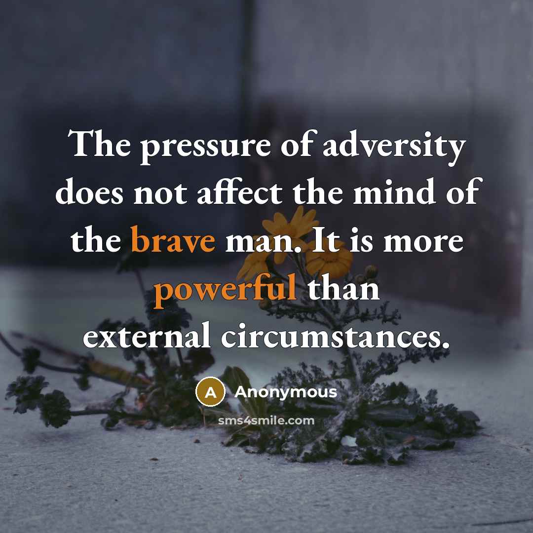“The pressure of adversity does not affect the mind of the brave man. It is more powerful than external circumstances.” quote by Anonymous