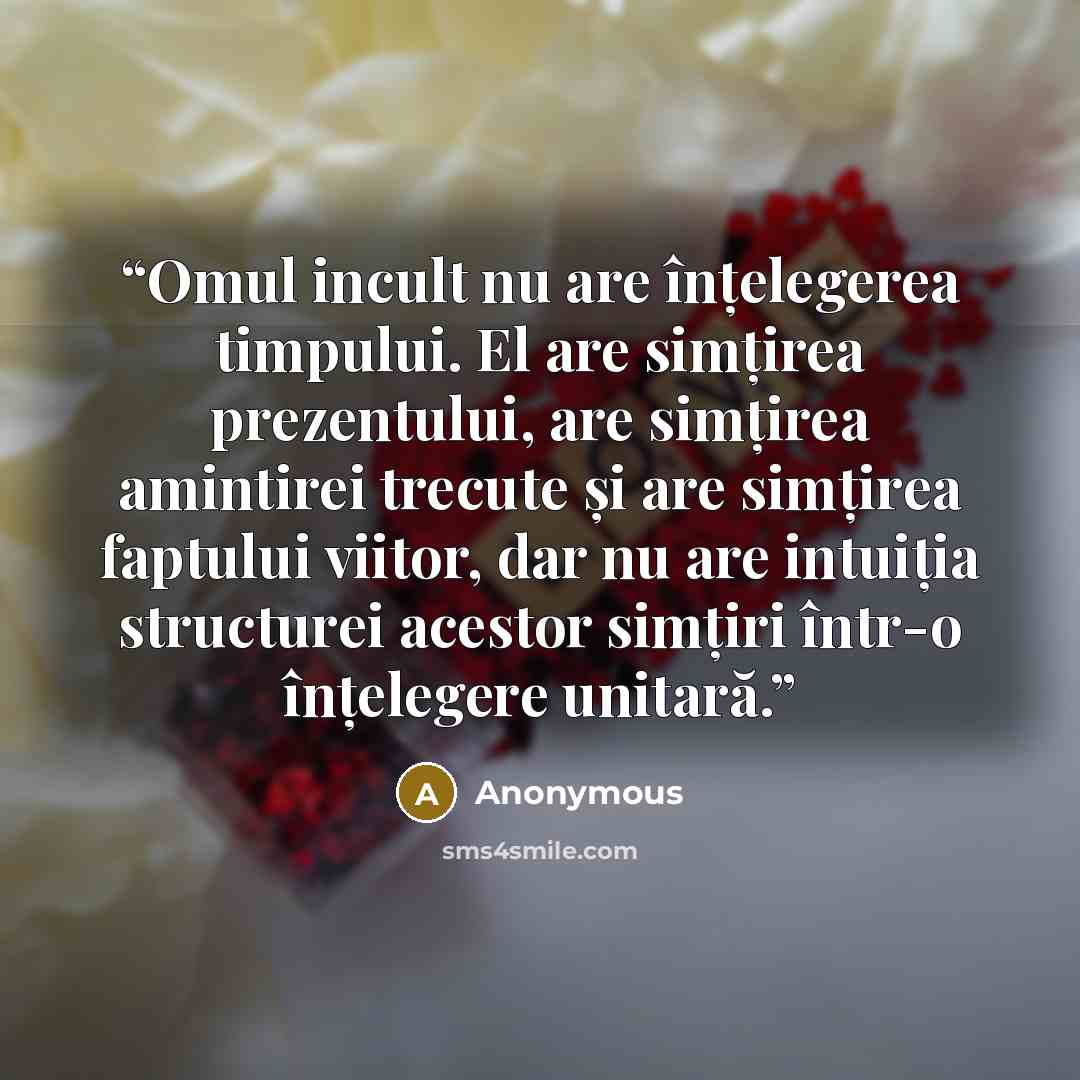 “Omul incult nu are înțelegerea timpului. El are simțirea prezentului, are simțirea amintirei trecute și are simțirea faptului viitor, dar nu are intuiția structurei acestor simțiri într-o înțelegere unitară.” quote by Anonymous