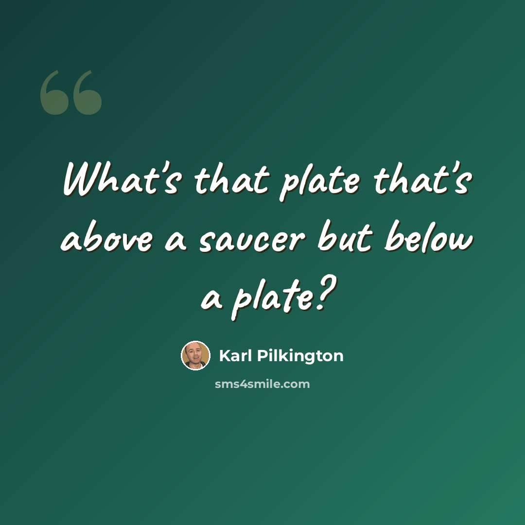 “What's that plate that's above a saucer but below a plate?” quote by Karl Pilkington