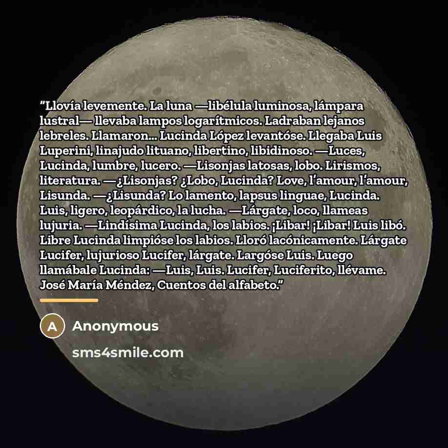 “Llovía levemente. La luna —libélula luminosa, lámpara lustral— llevaba lampos logarítmicos. Ladraban lejanos lebreles. Llamaron… Lucinda López levantóse. Llegaba Luis Luperini, linajudo lituano, libertino, libidinoso. —Luces, Lucinda, lumbre, lucero. —Lisonjas latosas, lobo. Lirismos, literatura…” quote by Anonymous