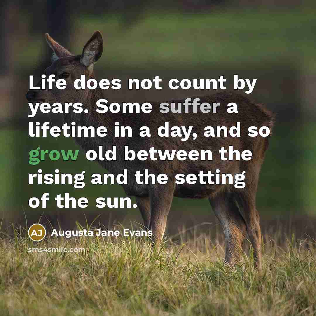 “Life does not count by years. Some suffer a lifetime in a day, and so grow old between the rising and the setting of the sun.” quote by Augusta Jane Evans
