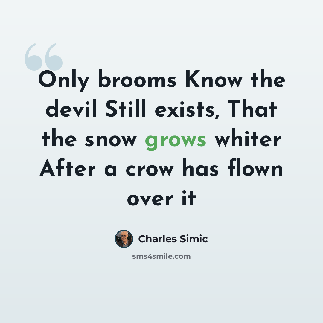 “Only brooms Know the devil Still exists, That the snow grows whiter After a crow has flown over it” quote by Charles Simic