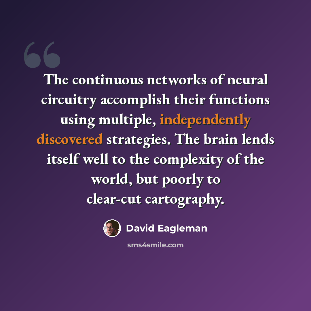 “The continuous networks of neural circuitry accomplish their functions using multiple, independently discovered strategies. The brain lends itself well to the complexity of the world, but poorly to clear-cut cartography.” quote by David Eagleman