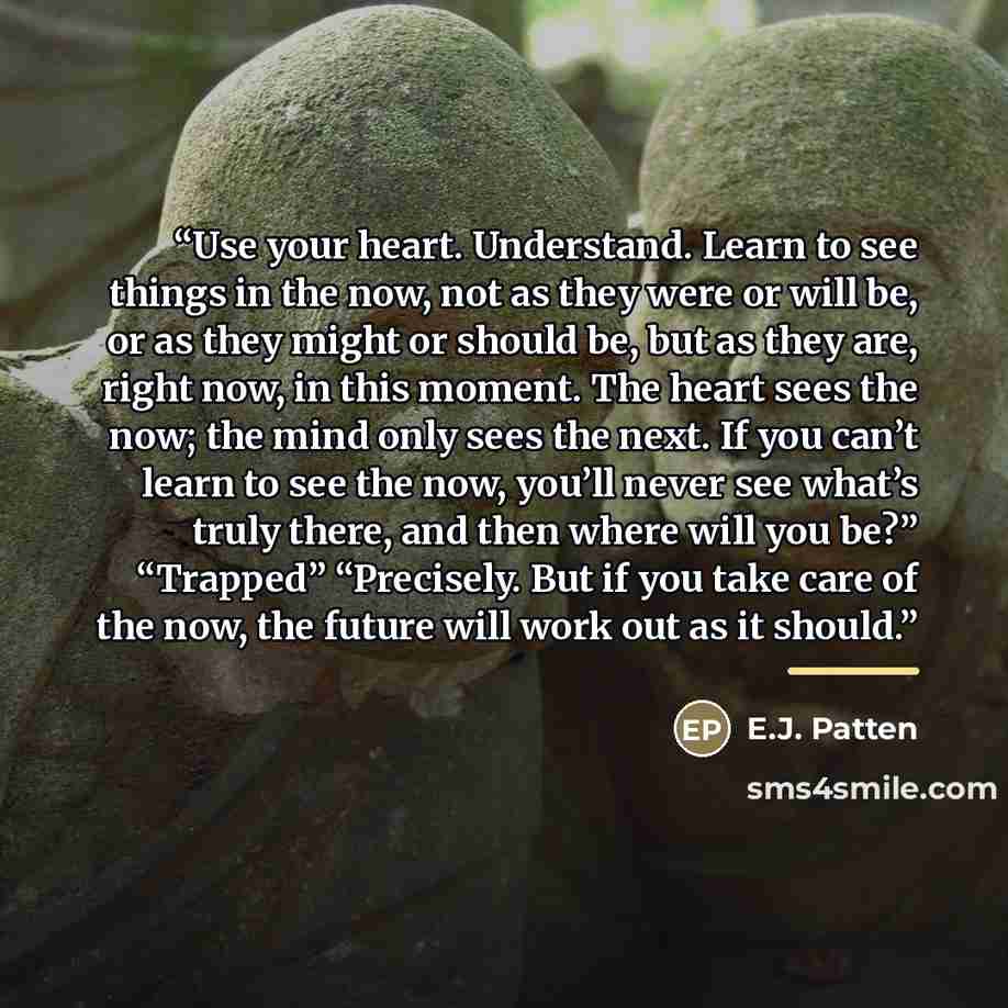 “Use your heart. Understand. Learn to see things in the now, not as they were or will be, or as they might or should be, but as they are, right now, in this moment. The heart sees the now; the mind only sees the next. If you can’t learn to see the now, you’ll never see what’s truly there, and then…” quote by E.J. Patten