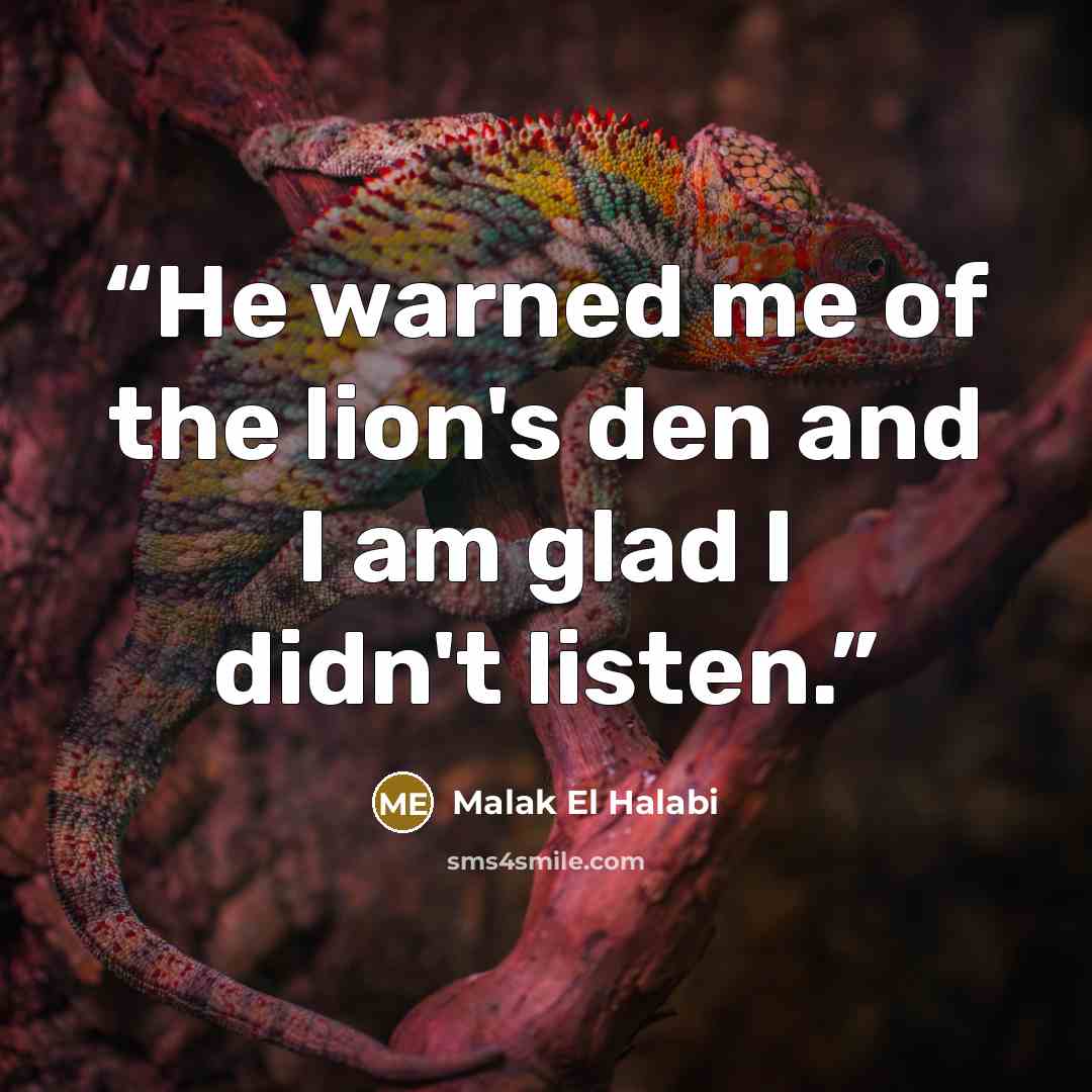 “He warned me of the lion's den and I am glad I didn't listen.” quote by Malak El Halabi