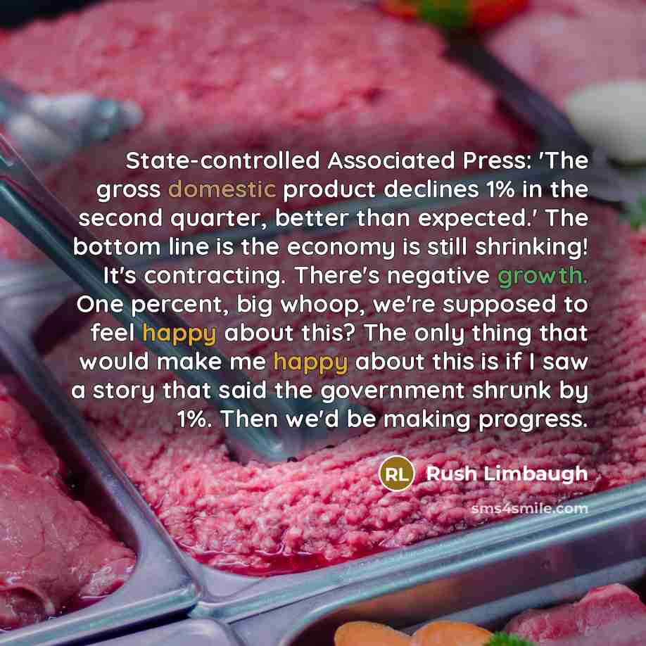 “State-controlled Associated Press: 'The gross domestic product declines 1% in the second quarter, better than expected.' The bottom line is the economy is still shrinking! It's contracting. There's negative growth. One percent, big whoop, we're supposed to feel happy about this? The only thing…” quote by Rush Limbaugh