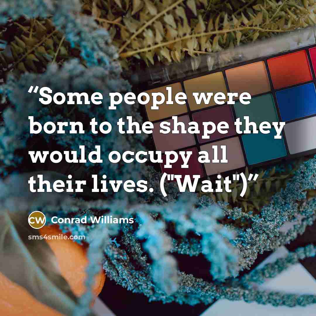 “Some people were born to the shape they would occupy all their lives. ("Wait")” quote by Conrad Williams