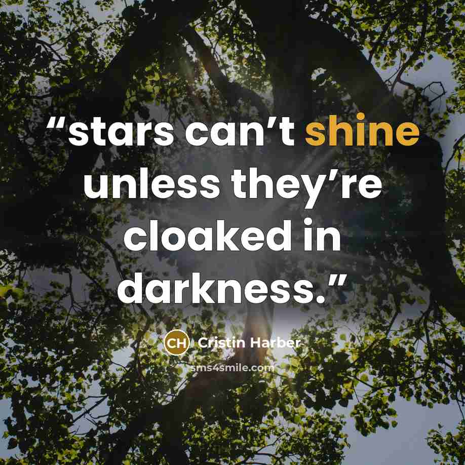 “stars can’t shine unless they’re cloaked in darkness.” quote by Cristin Harber