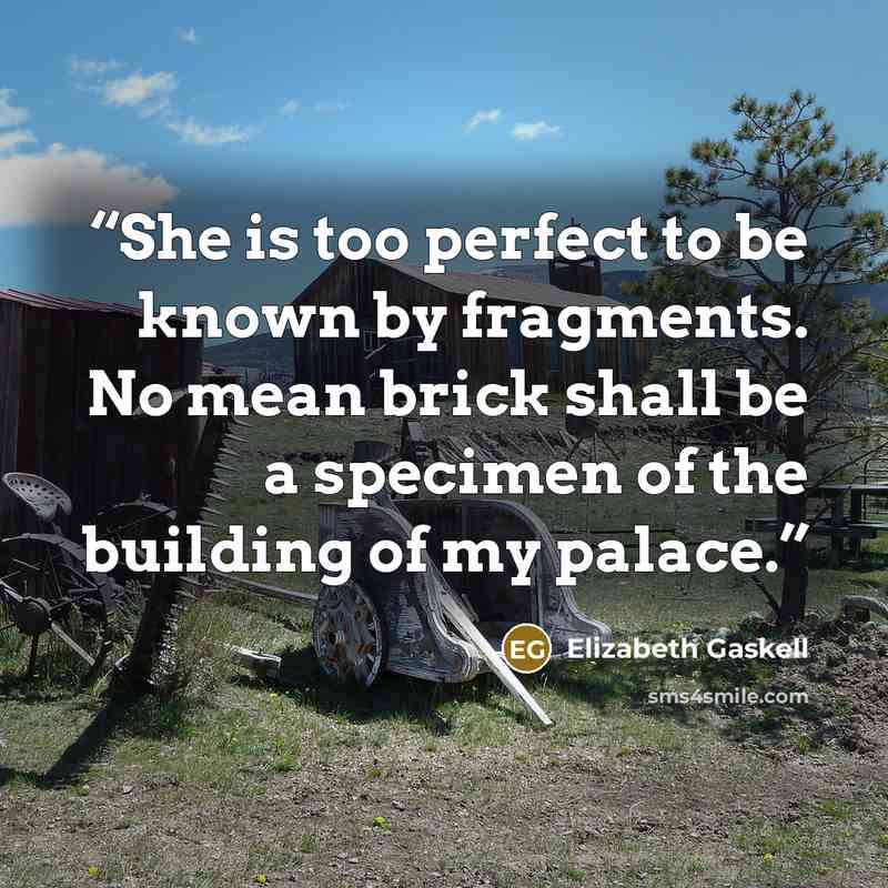 “She is too perfect to be known by fragments. No mean brick shall be a specimen of the building of my palace.” quote by Elizabeth Gaskell