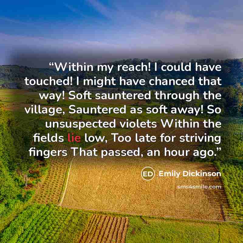 “Within my reach! I could have touched! I might have chanced that way! Soft sauntered through the village, Sauntered as soft away! So unsuspected violets Within the fields lie low, Too late for striving fingers That passed, an hour ago.” quote by Emily Dickinson