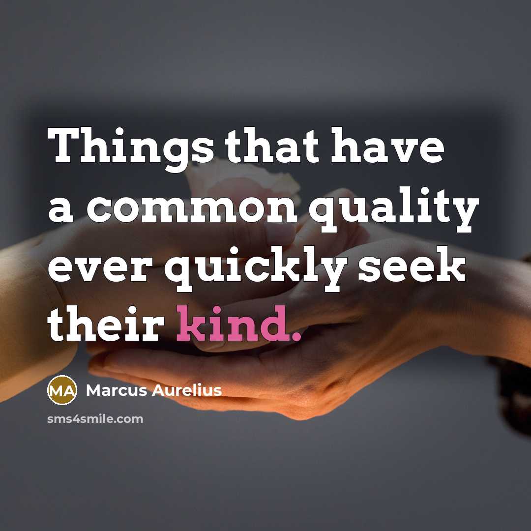 “Things that have a common quality ever quickly seek their kind.” quote by Marcus Aurelius