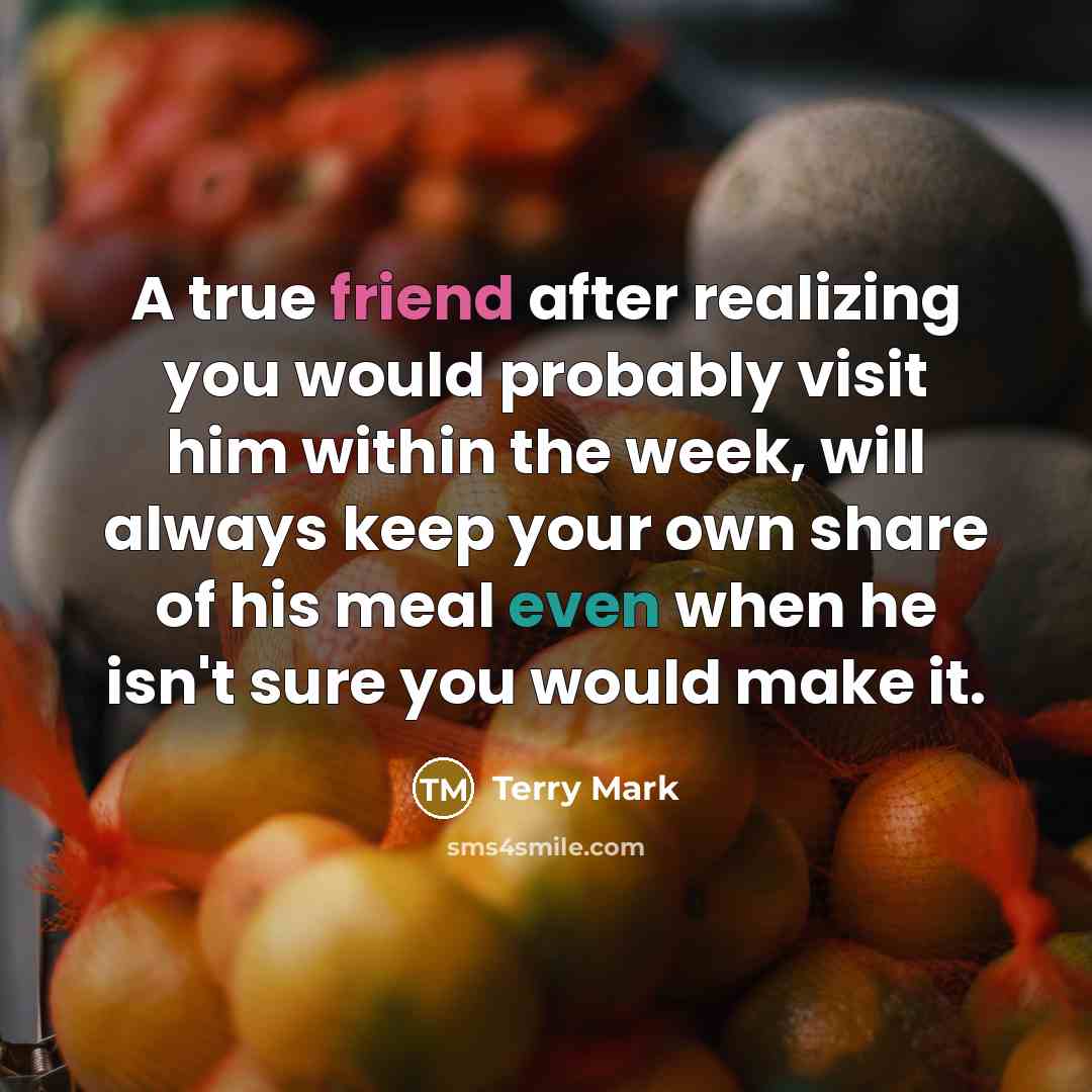 “A true friend after realizing you would probably visit him within the week, will always keep your own share of his meal even when he isn't sure you would make it.” quote by Terry Mark