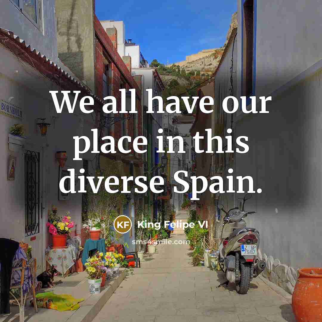 “We all have our place in this diverse Spain.” quote by King Felipe VI