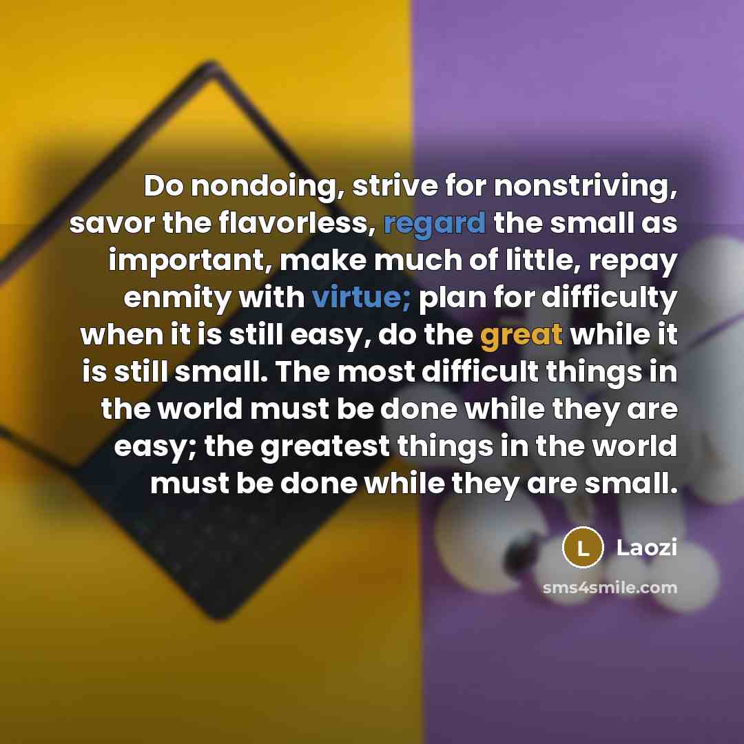 “Do nondoing, strive for nonstriving, savor the flavorless, regard the small as important, make much of little, repay enmity with virtue; plan for difficulty when it is still easy, do the great while it is still small. The most difficult things in the world must be done while they are easy; the…” quote by Laozi