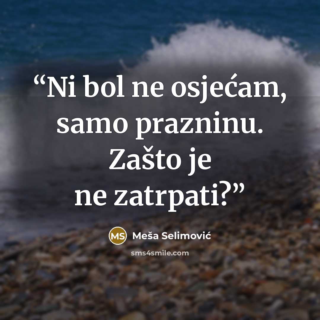 “Ni bol ne osjećam, samo prazninu. Zašto je ne zatrpati?” quote by Meša Selimović