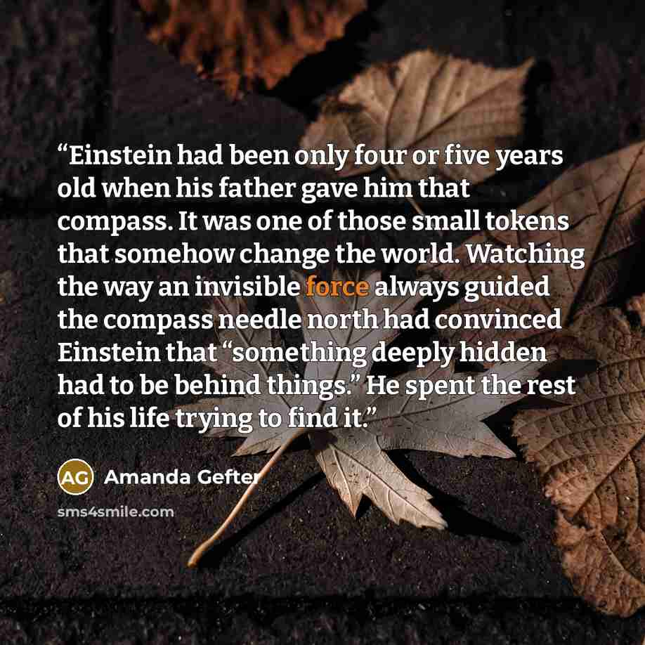 “Einstein had been only four or five years old when his father gave him that compass. It was one of those small tokens that somehow change the world. Watching the way an invisible force always guided the compass needle north had convinced Einstein that “something deeply hidden had to be behind…” quote by Amanda Gefter