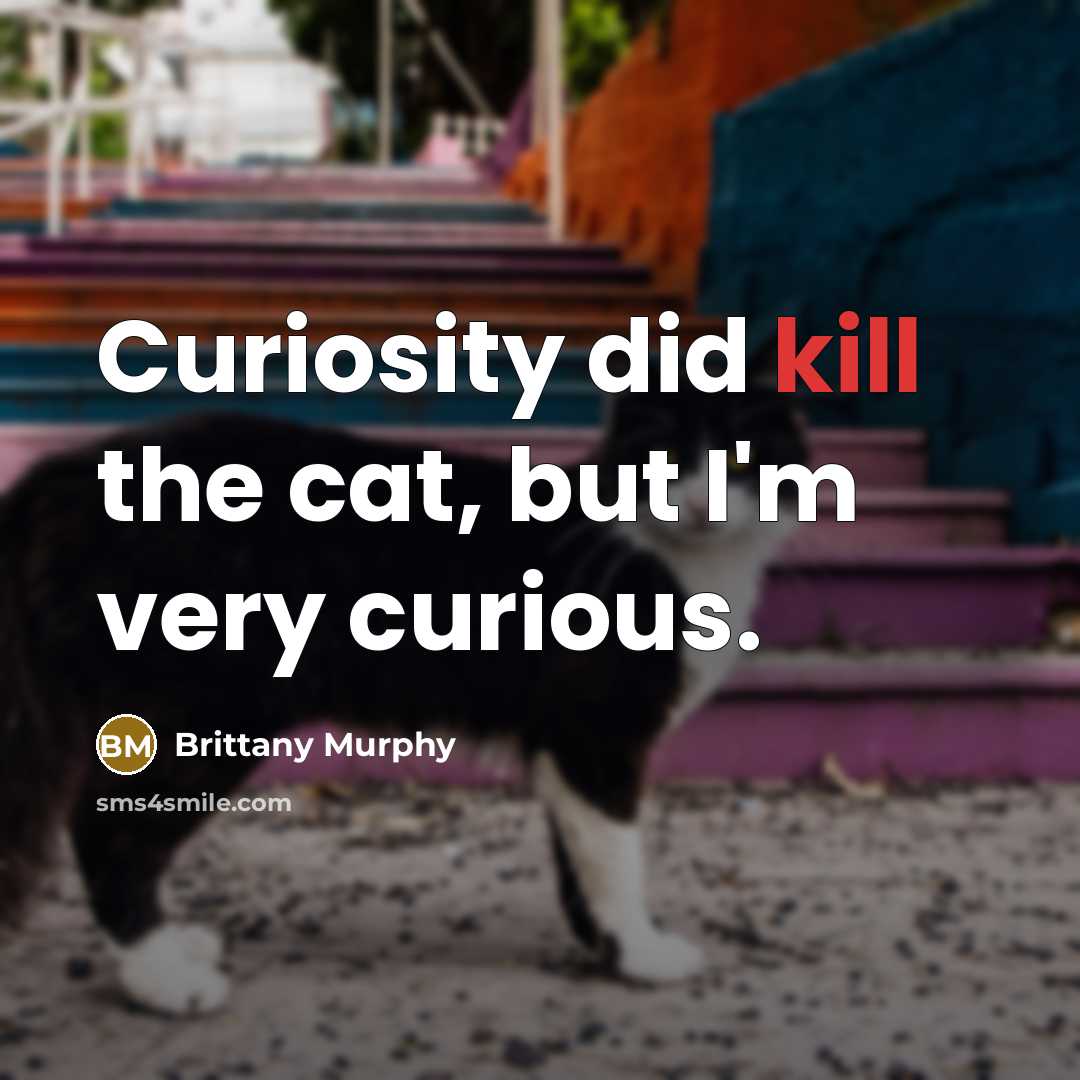 “Curiosity did kill the cat, but I'm very curious.” quote by Brittany Murphy