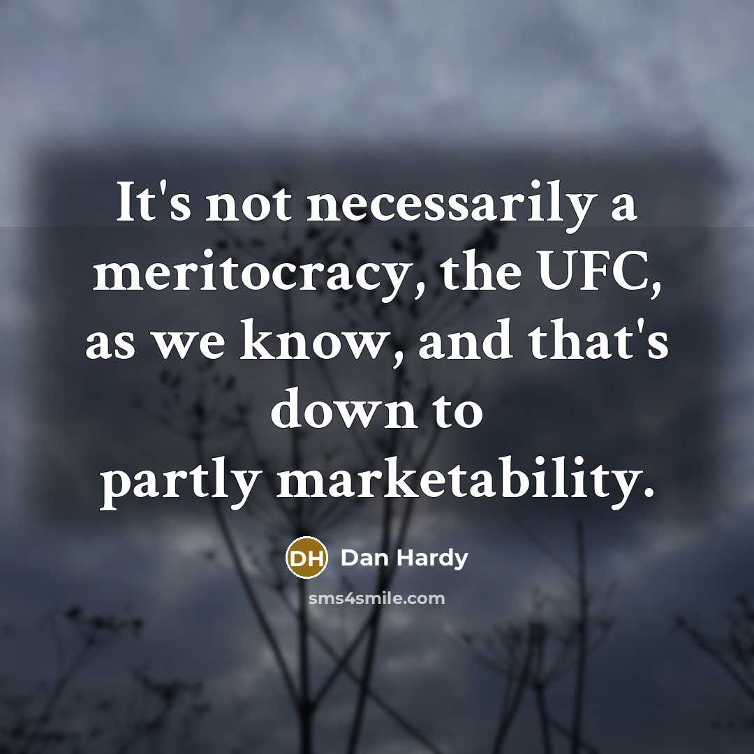 “It's not necessarily a meritocracy, the UFC, as we know, and that's down to partly marketability.” quote by Dan Hardy