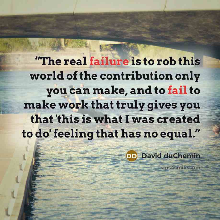 “The real failure is to rob this world of the contribution only you can make, and to fail to make work that truly gives you that 'this is what I was created to do' feeling that has no equal.” quote by David duChemin