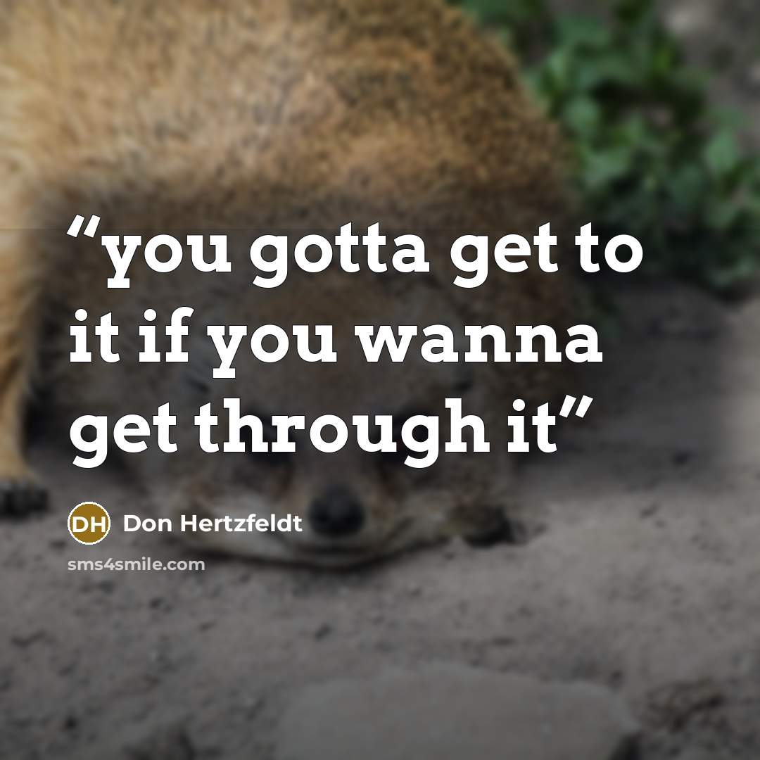 “you gotta get to it if you wanna get through it” quote by Don Hertzfeldt