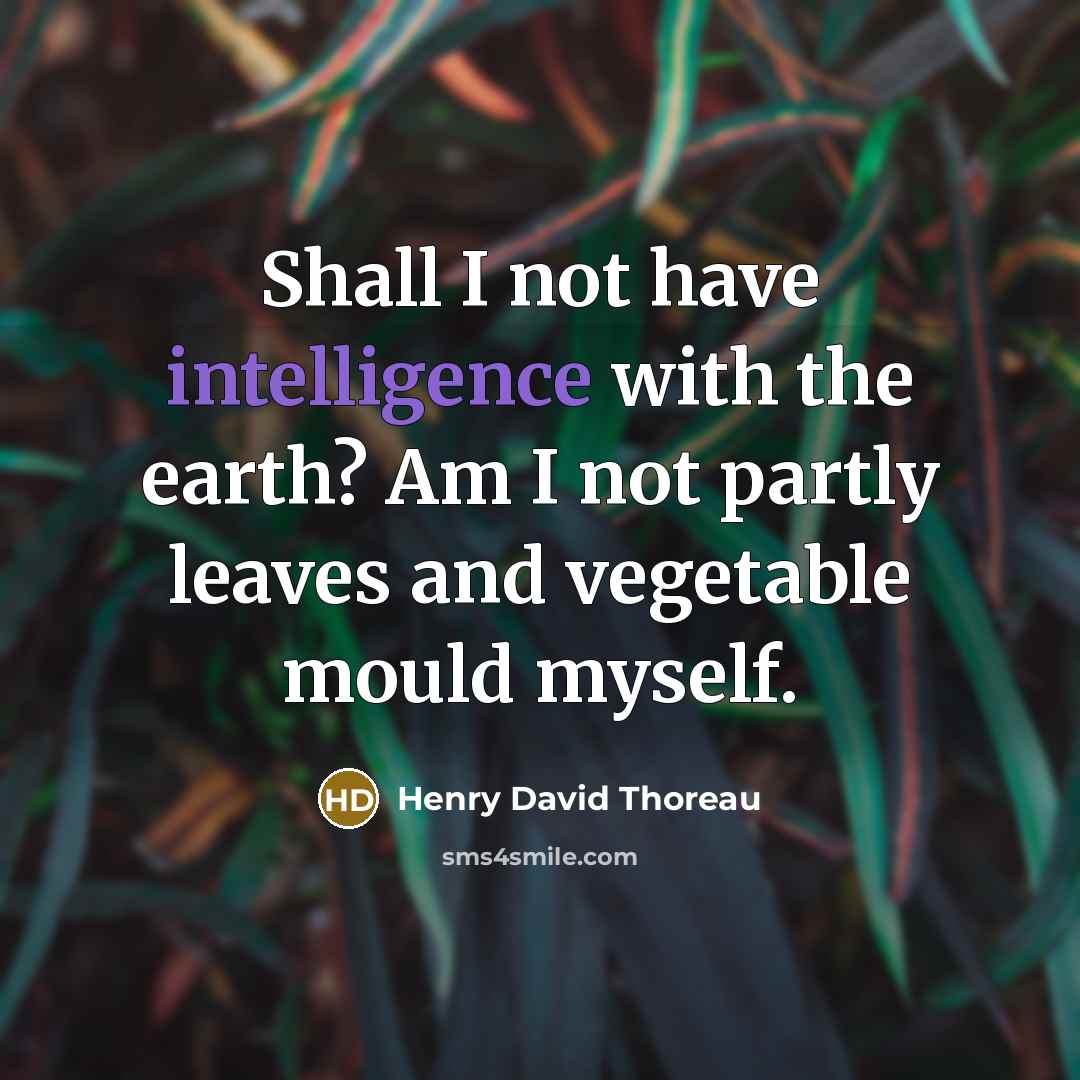 “Shall I not have intelligence with the earth? Am I not partly leaves and vegetable mould myself.” quote by Henry David Thoreau