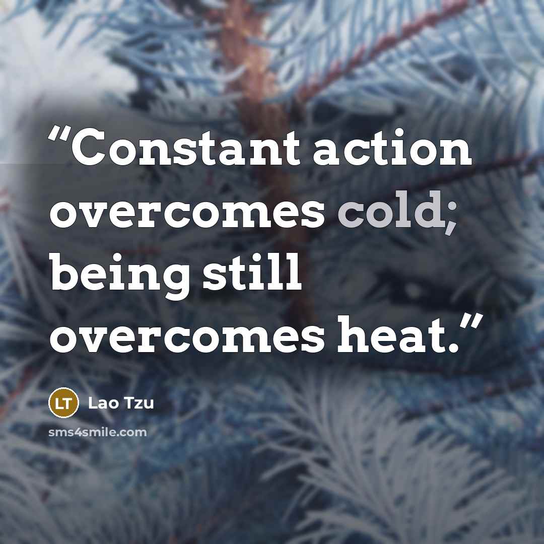“Constant action overcomes cold; being still overcomes heat.” quote by Lao Tzu