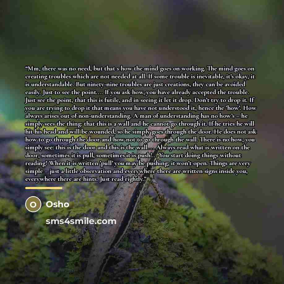 “Mm, there was no need, but that s how the mind goes on working. The mind goes on creating troubles which are not needed at all. If some trouble is inevitable, it’s okay, it is understandable. But ninety-nine troubles are just creations, they can be avoided easily. Just to see the point… If you ask…” quote by Osho