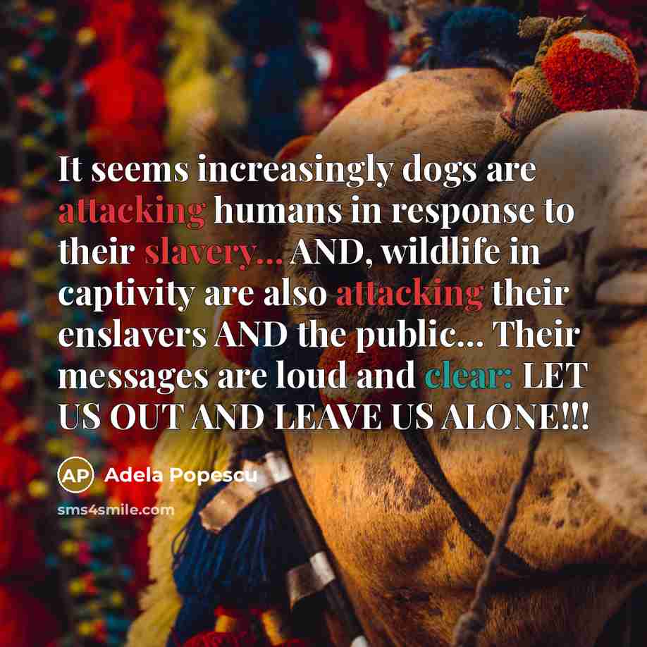 “It seems increasingly dogs are attacking humans in response to their slavery... AND, wildlife in captivity are also attacking their enslavers AND the public... Their messages are loud and clear: LET US OUT AND LEAVE US ALONE!!!” quote by Adela Popescu