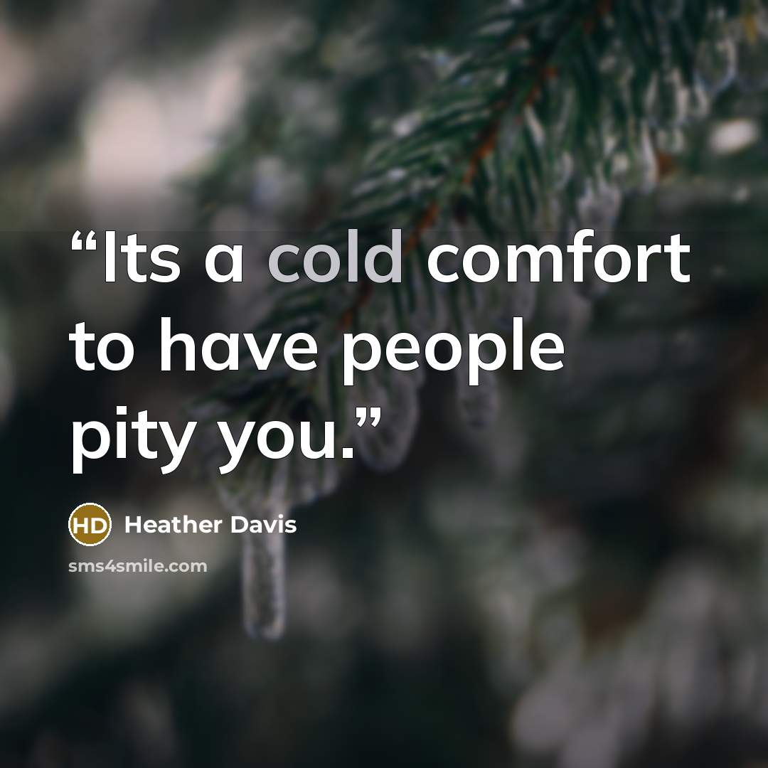 “Its a cold comfort to have people pity you.” quote by Heather Davis
