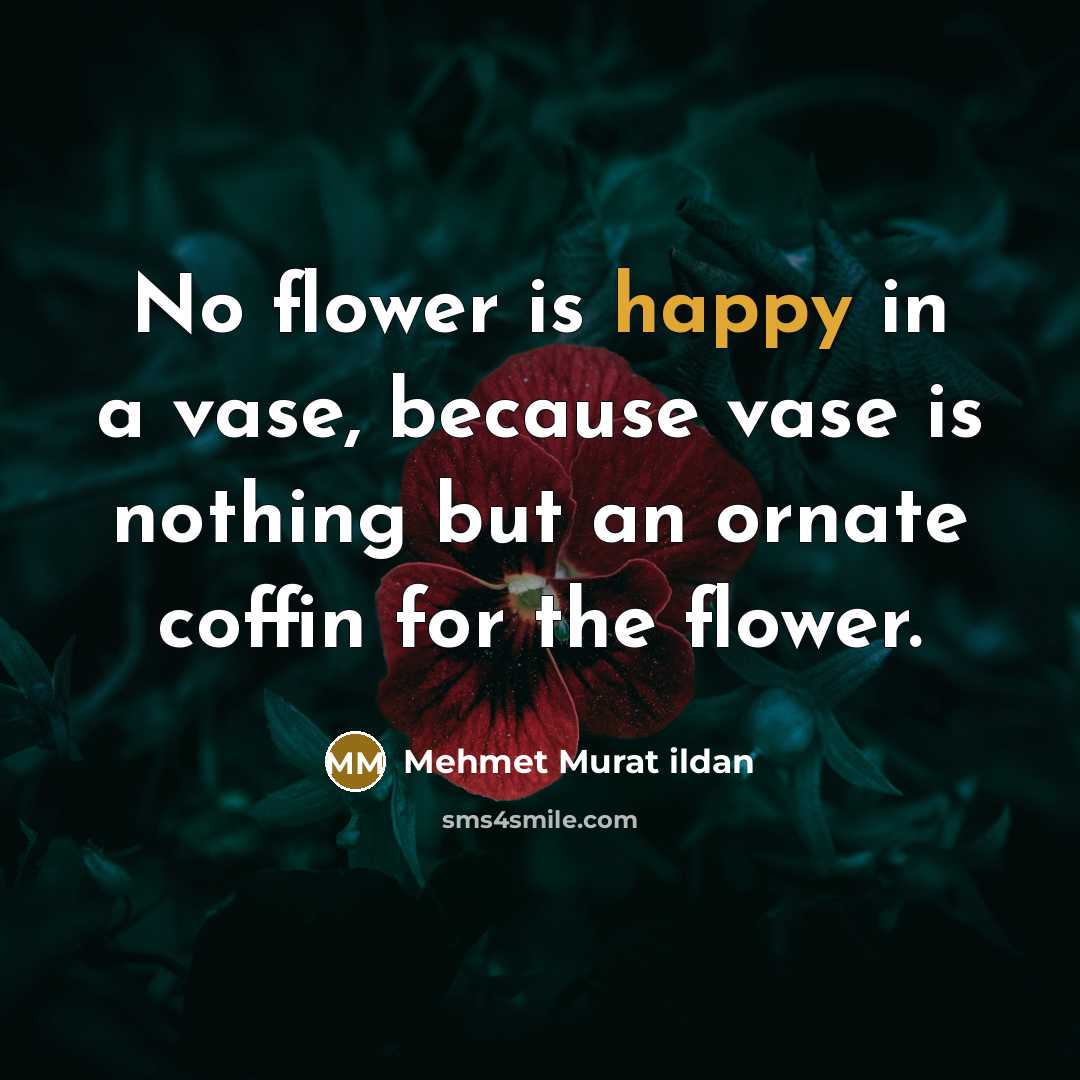 “No flower is happy in a vase, because vase is nothing but an ornate coffin for the flower.” quote by Mehmet Murat Ildan