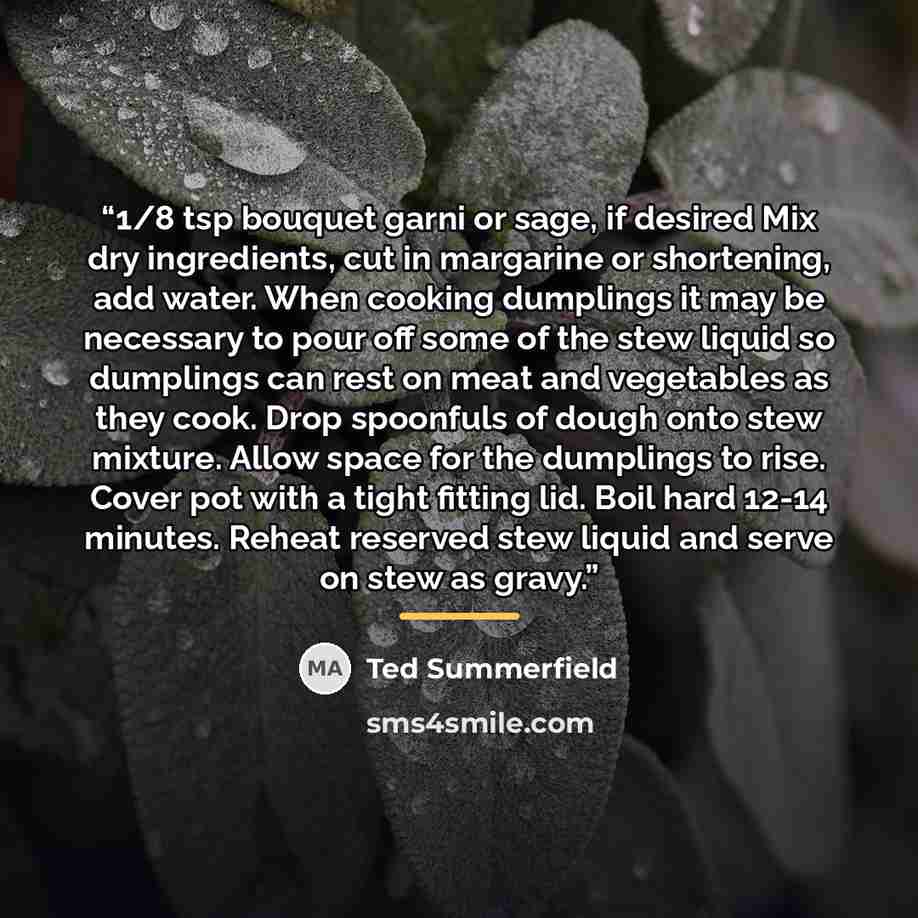 “1/8 tsp bouquet garni or sage, if desired Mix dry ingredients, cut in margarine or shortening, add water. When cooking dumplings it may be necessary to pour off some of the stew liquid so dumplings can rest on meat and vegetables as they cook. Drop spoonfuls of dough onto stew mixture. Allow space…” quote by Ted Summerfield