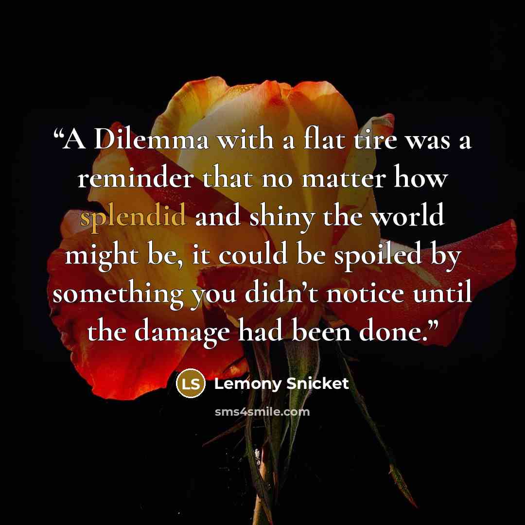 “A Dilemma with a flat tire was a reminder that no matter how splendid and shiny the world might be, it could be spoiled by something you didn’t notice until the damage had been done.” quote by Lemony Snicket