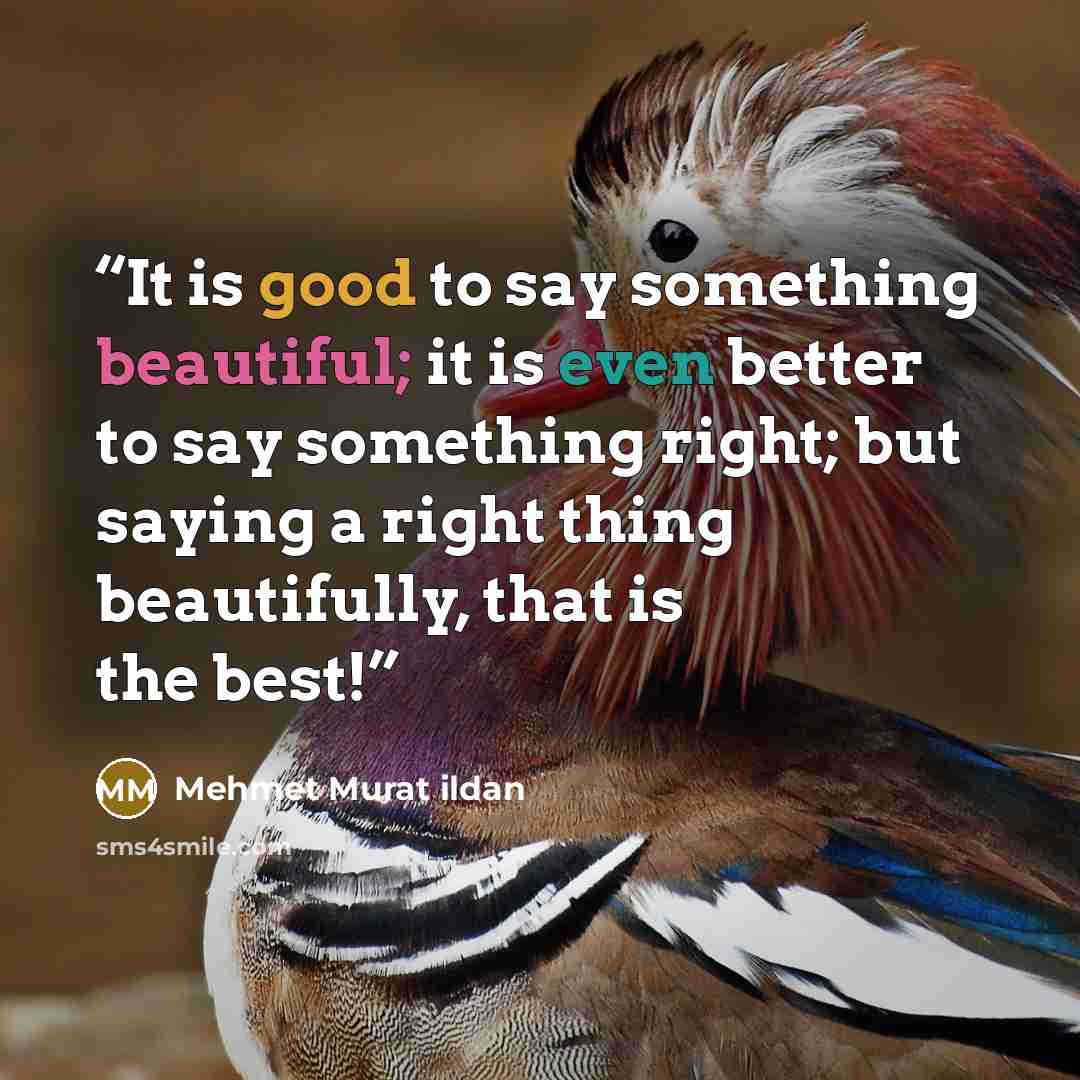 “It is good to say something beautiful; it is even better to say something right; but saying a right thing beautifully, that is the best!” quote by Mehmet Murat ildan