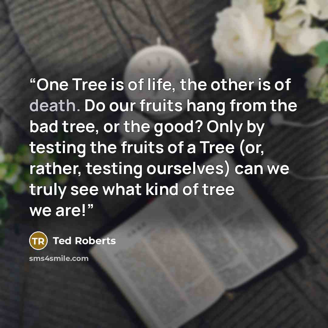“One Tree is of life, the other is of death. Do our fruits hang from the bad tree, or the good? Only by testing the fruits of a Tree (or, rather, testing ourselves) can we truly see what kind of tree we are!” quote by Ted Roberts