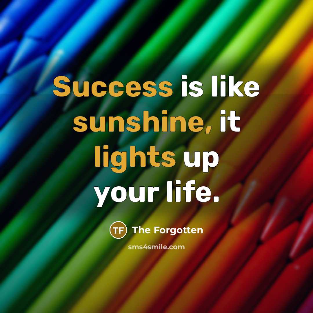 “Success is like sunshine, it lights up your life.” quote by The Forgotten