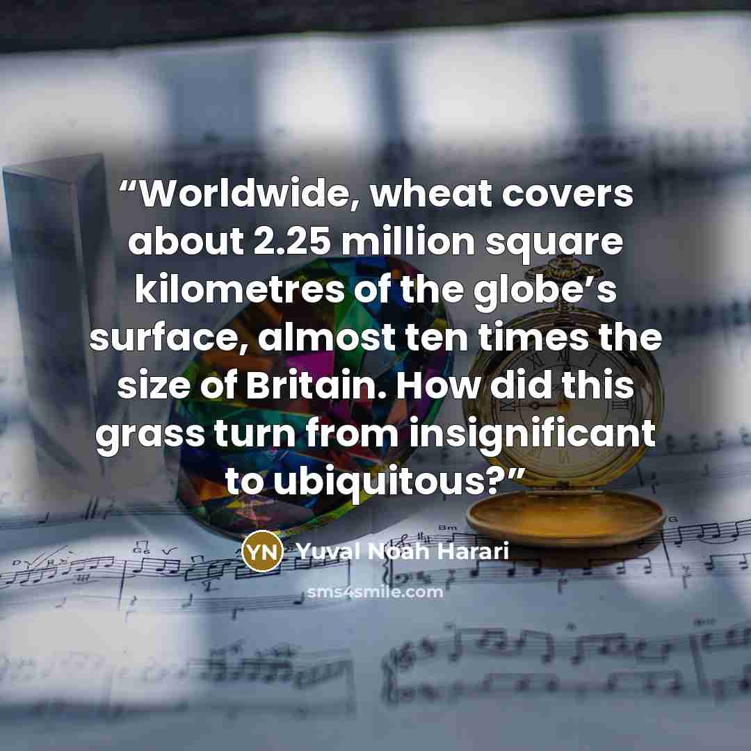 “Worldwide, wheat covers about 2.25 million square kilometres of the globe’s surface, almost ten times the size of Britain. How did this grass turn from insignificant to ubiquitous?” quote by Yuval Noah Harari