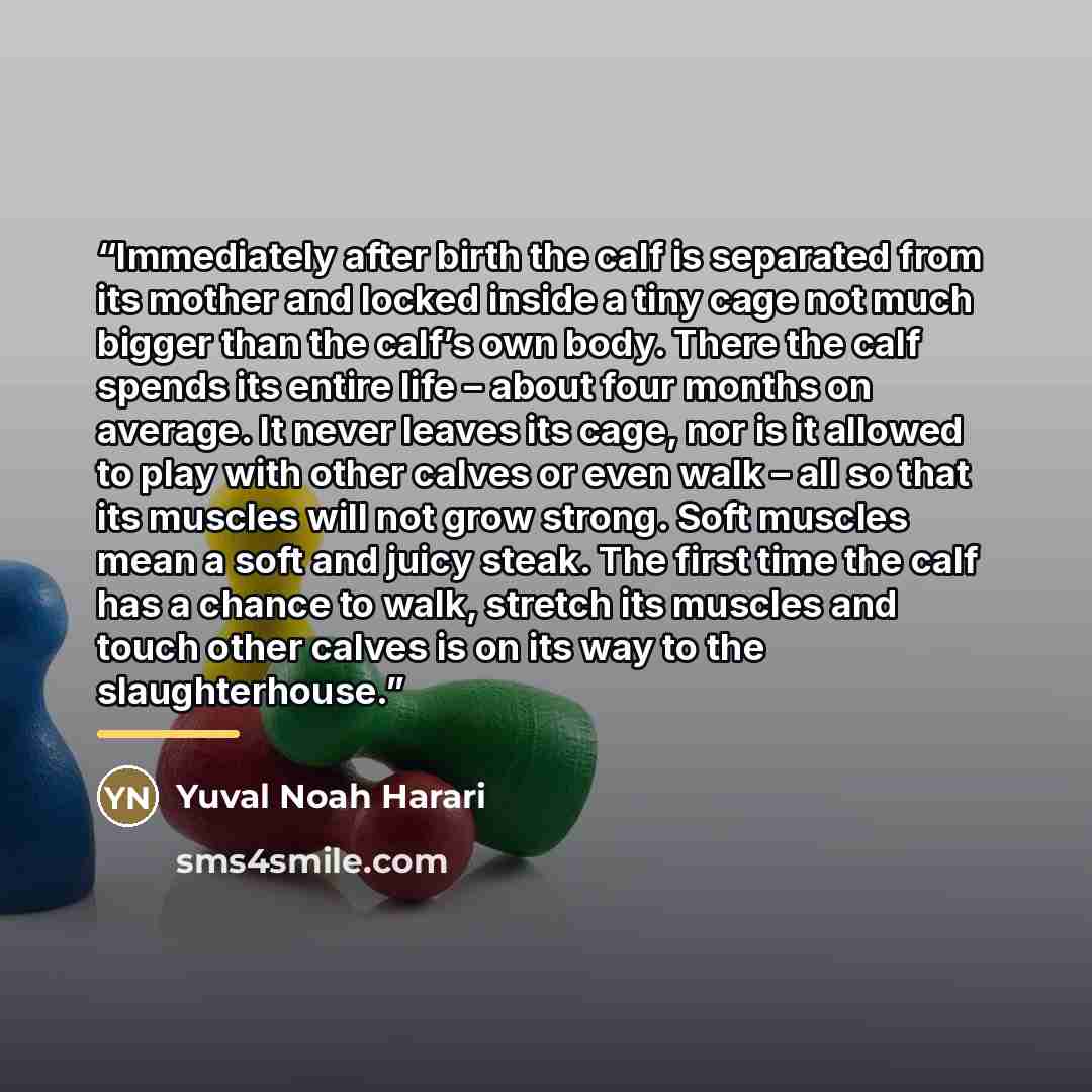 “Immediately after birth the calf is separated from its mother and locked inside a tiny cage not much bigger than the calf’s own body. There the calf spends its entire life – about four months on average. It never leaves its cage, nor is it allowed to play with other calves or even walk – all so…” quote by Yuval Noah Harari