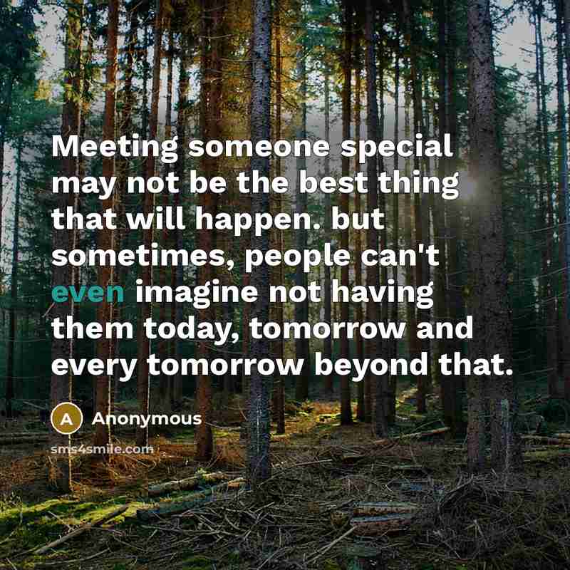 “Meeting someone special may not be the best thing that will happen. but sometimes, people can't even imagine not having them today, tomorrow and every tomorrow beyond that.” quote by Anonymous