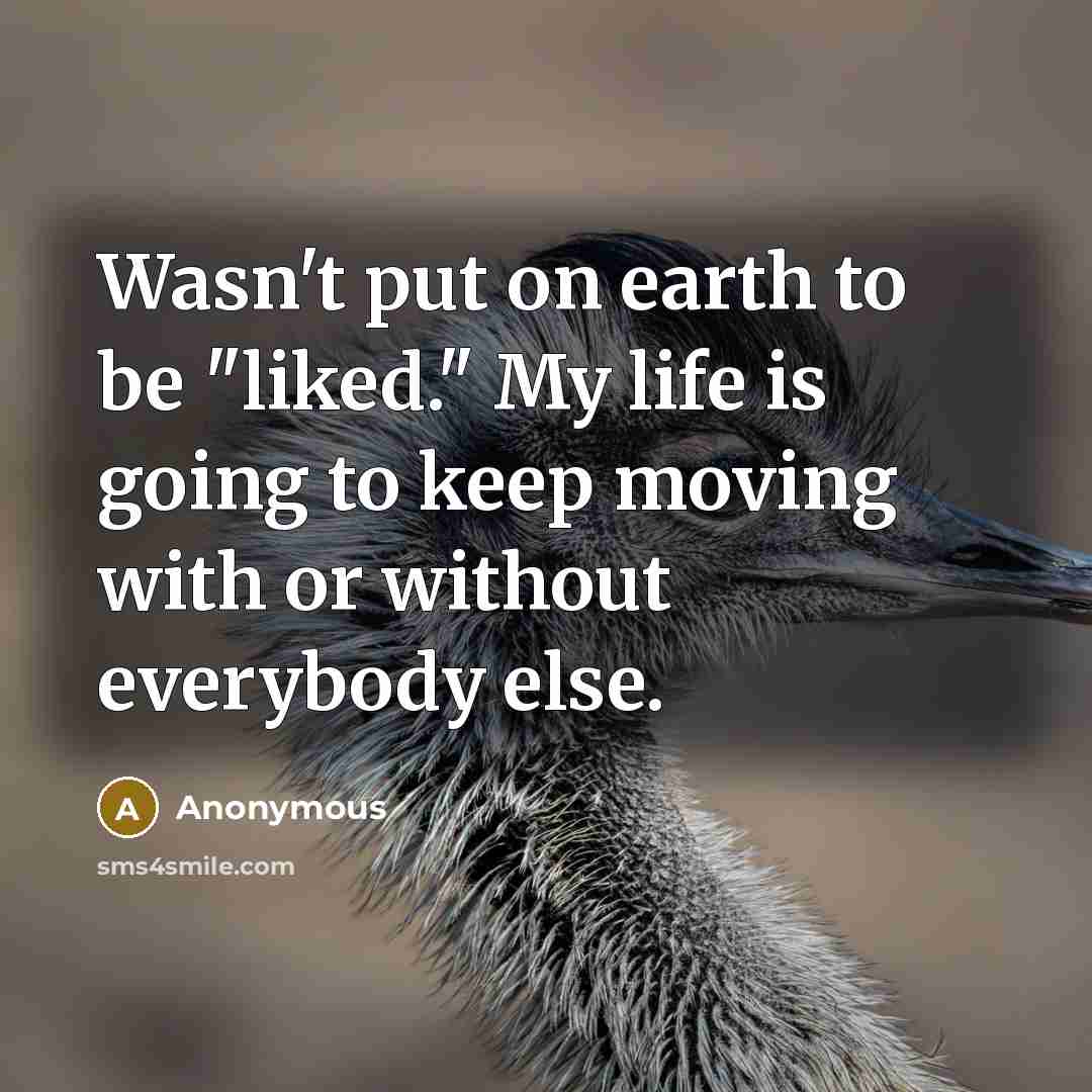“Wasn't put on earth to be "liked." My life is going to keep moving with or without everybody else.” quote by Anonymous