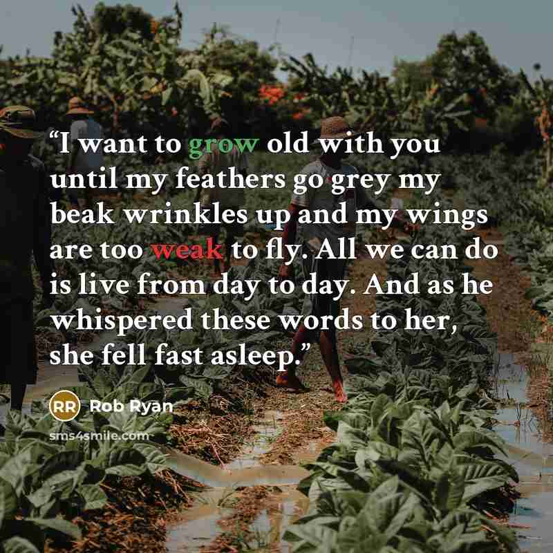“I want to grow old with you until my feathers go grey my beak wrinkles up and my wings are too weak to fly. All we can do is live from day to day. And as he whispered these words to her, she fell fast asleep.” quote by Rob Ryan