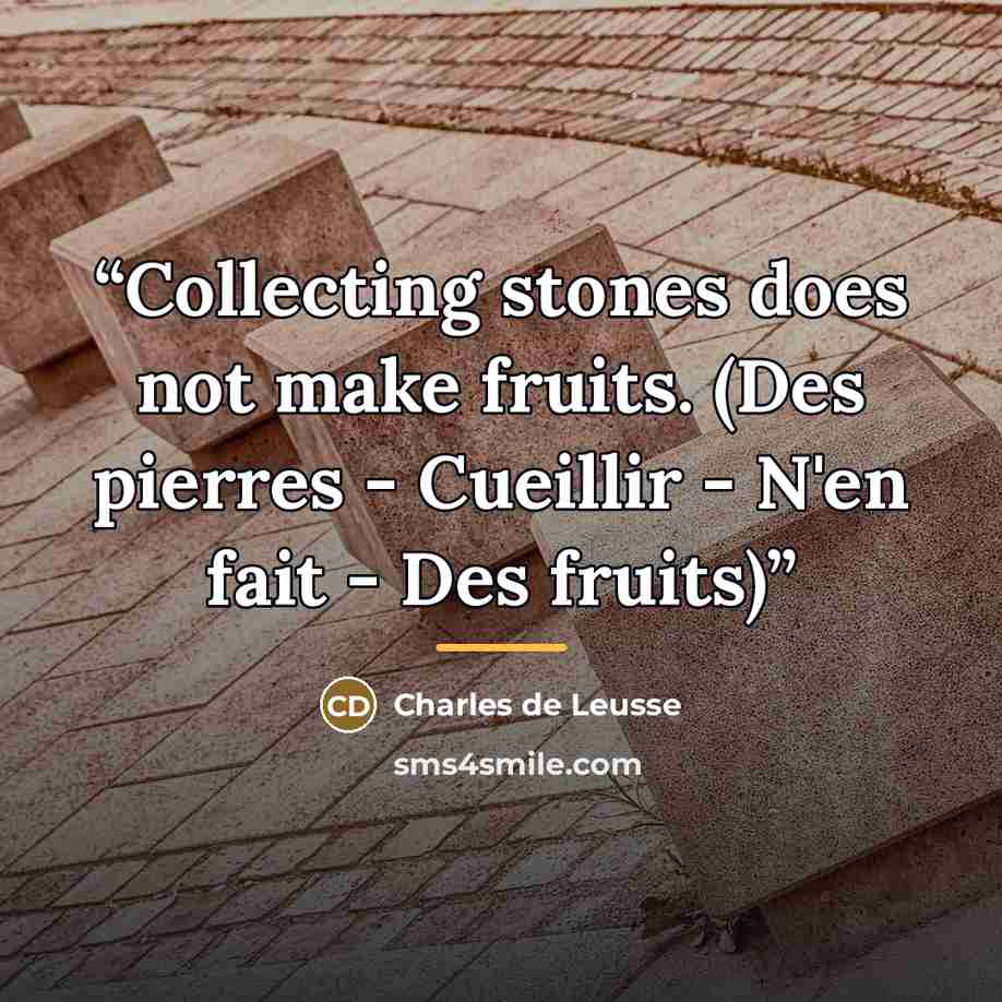 “Collecting stones does not make fruits. (Des pierres - Cueillir - N'en fait - Des fruits)” quote by Charles de Leusse