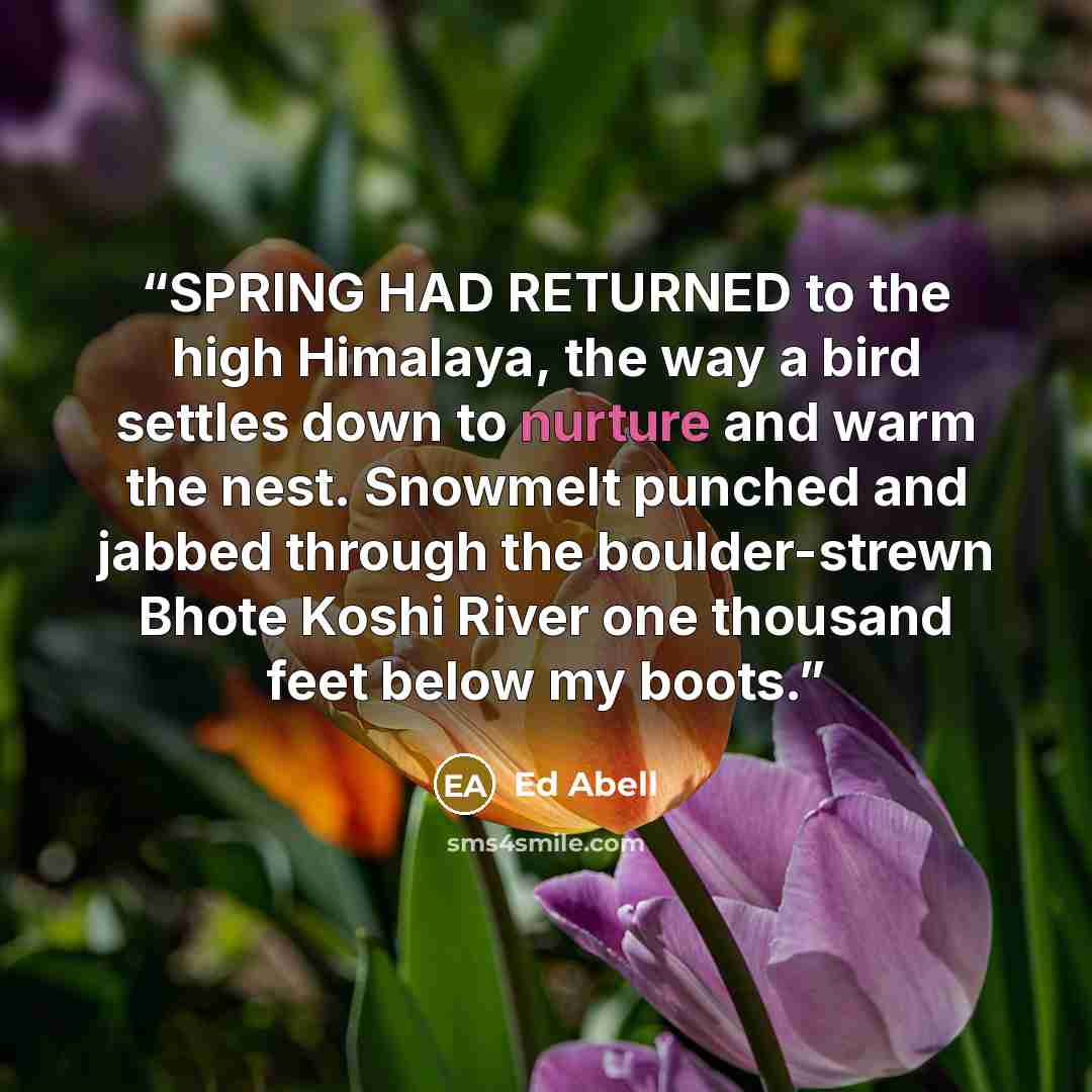 “SPRING HAD RETURNED to the high Himalaya, the way a bird settles down to nurture and warm the nest. Snowmelt punched and jabbed through the boulder-strewn Bhote Koshi River one thousand feet below my boots.” quote by Ed Abell