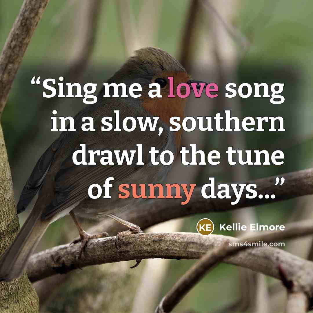 “Sing me a love song in a slow, southern drawl to the tune of sunny days...” quote by Kellie Elmore