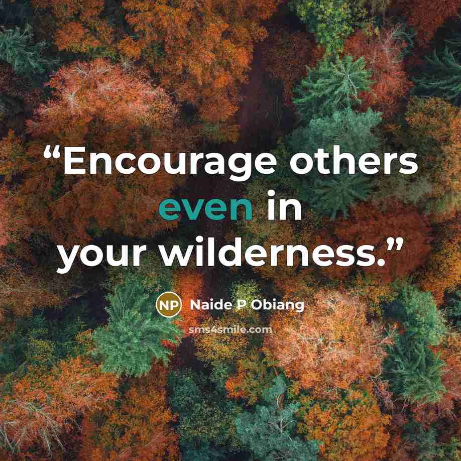 “Encourage others even in your wilderness.” quote by Naide P Obiang