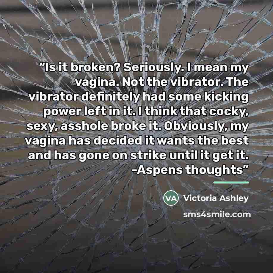 “Is it broken? Seriously. I mean my vagina. Not the vibrator. The vibrator definitely had some kicking power left in it. I think that cocky, sexy, asshole broke it. Obviously, my vagina has decided it wants the best and has gone on strike until it get it. -Aspens thoughts” quote by Victoria Ashley