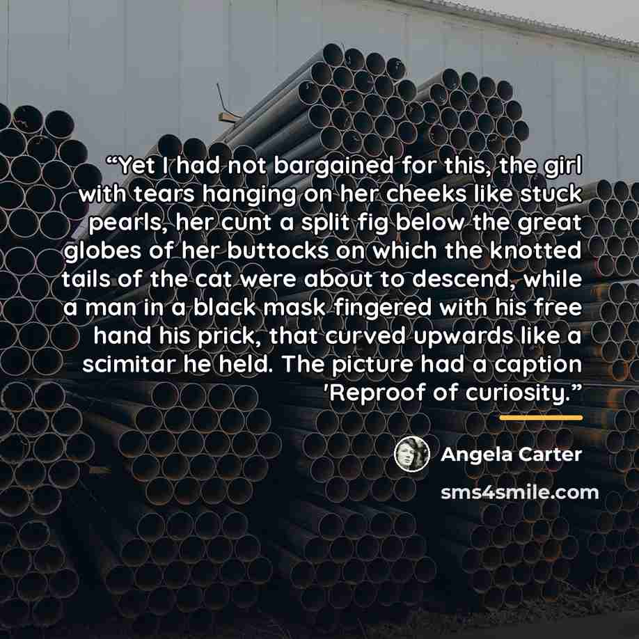 “Yet I had not bargained for this, the girl with tears hanging on her cheeks like stuck pearls, her cunt a split fig below the great globes of her buttocks on which the knotted tails of the cat were about to descend, while a man in a black mask fingered with his free hand his prick, that curved…” quote by Angela Carter